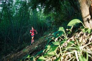 BIB: 
                            <button type="button" onclick="openModal(28123406)" class="btn btn-primary btn-sm float-right btn-popup" data-toggle="modal" data-target=".modal-high-quality">
                        <i class="fas fa-shopping-cart"></i> Add to Cart
                    </button>
                                            <button type="button" onclick="isThisMe(28123406, true)" class="btn btn-success btn-sm float-right btn-popup btn-isme hidden" data-toggle="tooltip" data-placement="bottom" title="นี่คือรูปของคุณใช่ไหม คลิกที่นี่เพื่อเอาเข้าอัลบั้ม">
                        <i class="fas fa-plus"></i> Add to album
                    </button>
                    <button type="button" onclick="isThisMe(28123406, false)" class="btn btn-warning btn-sm float-right btn-popup btn-isnotme hidden">
                        <i class="fas fa-ban"></i> Remove from album
                    </button>